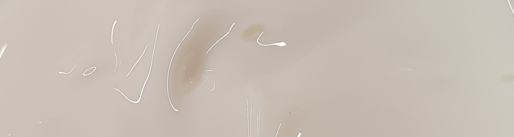 PP Foil Adhesive TMF 4344
