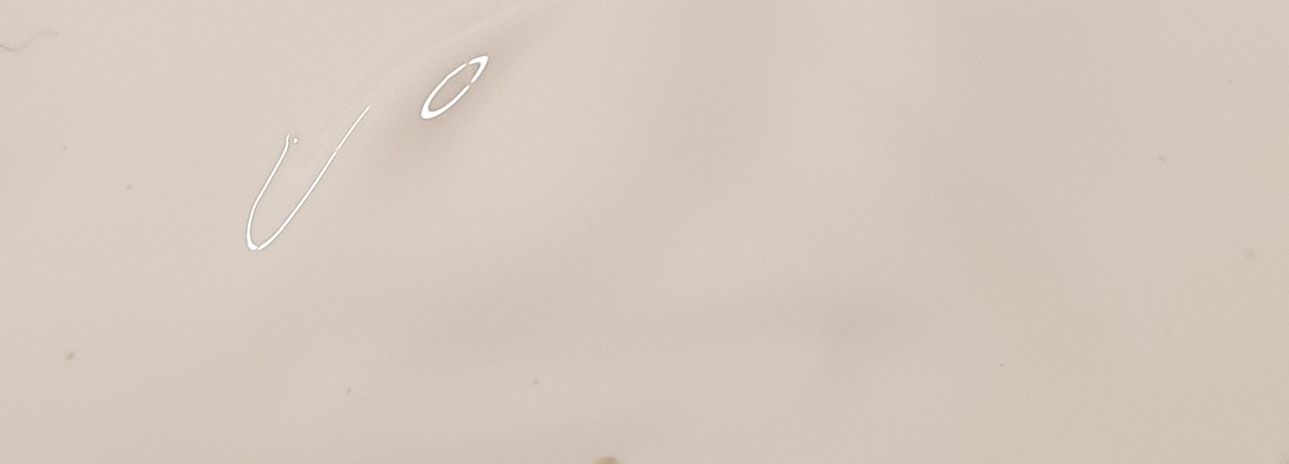 PP Xpand X 6069